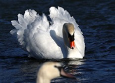 0 - La Galerie - Informations