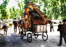 2 - Photos insolites