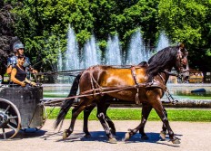 5 - Photos insolites - Créations